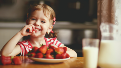 Dicas para manter a alimentação do seu filho saudável durante as férias