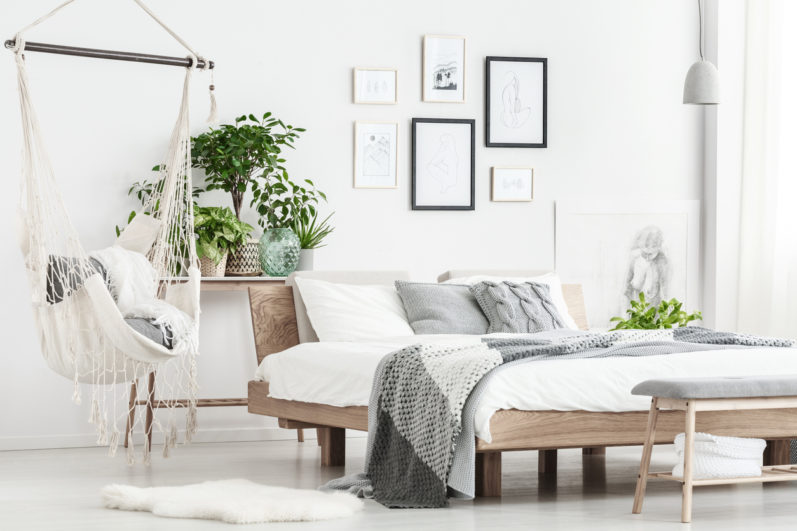 Plantas na decoração: 5 melhores tipos