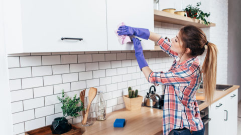 Conheça 4 dicas para afastar insetos da cozinha