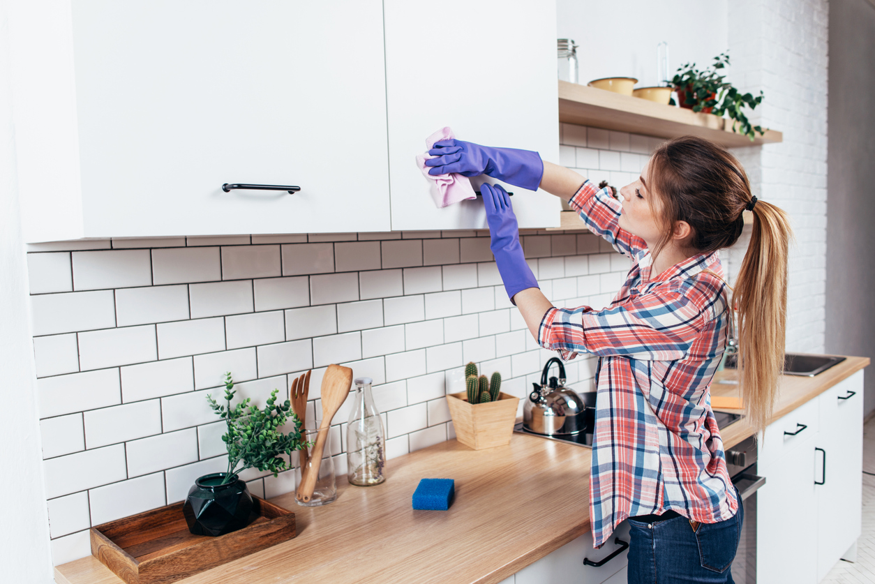 Conheça 4 dicas para afastar insetos da cozinha